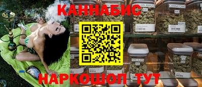 прущие грибы Будённовск