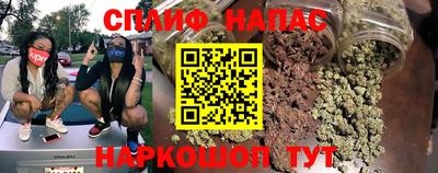 прущие грибы Будённовск