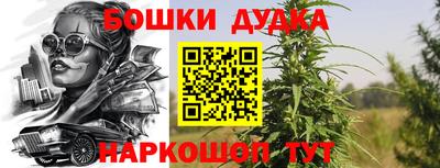 прущие грибы Будённовск