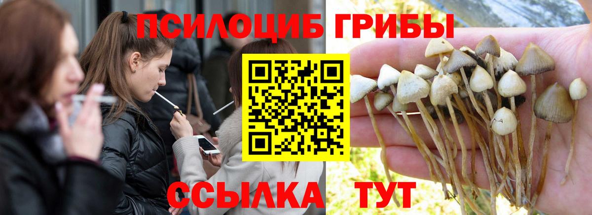 Галлюциногенные грибы GOLDEN TEACHER Обь